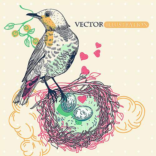vector illustration of a  wild bird with a nest