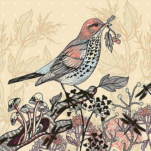 vector illustration of a colored bird and wild plants