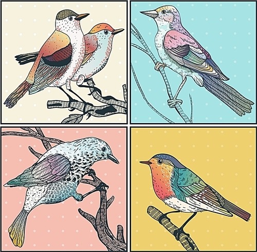 vector set of hand drawn cards with colorful wild birds