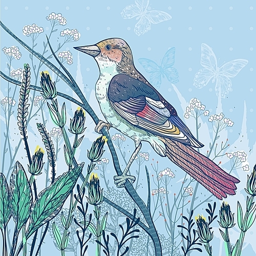 vector hand drawn  illustration of a bird and wild plants
