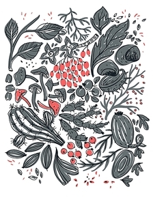 vector hand drawn illustration of  abstract plants|mushrooms and berries