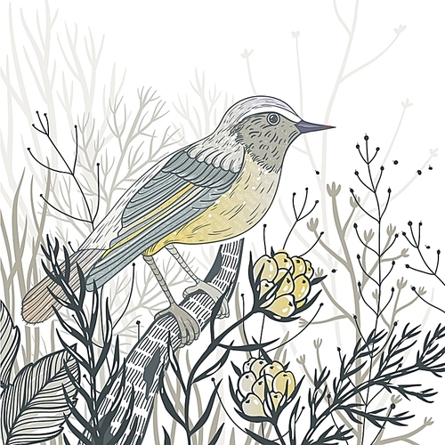 vector hand drawn illustration of a wild bird and plants