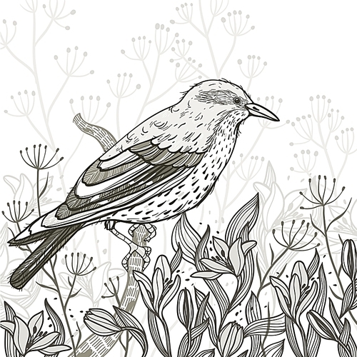 vector illustration of a bird and blossoming flowers - the imitation of pencil drawing.