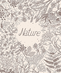 vector floral background with hand drawn plants|flowers and herbs