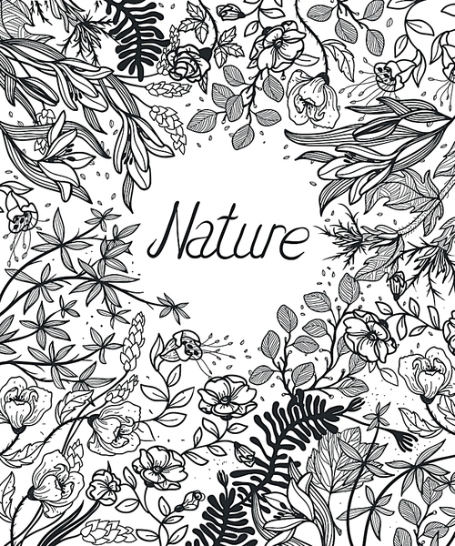 vector floral background with wild plants and blooming flowers