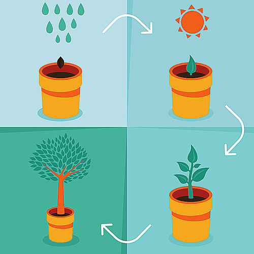 Vector growth concept