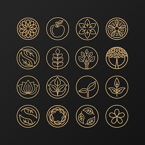 Vector abstract emblem - outline monogram - nature symbols - concept for organic shop - set of abstract design element- logo design template