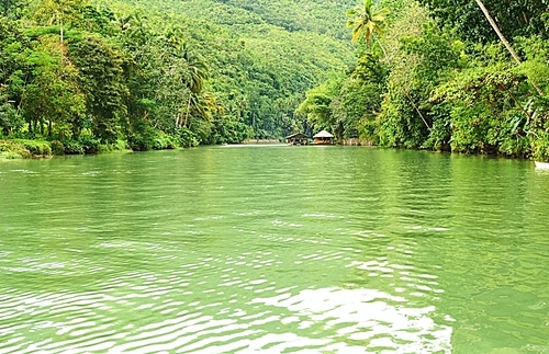 Tropical River running through rainforest
