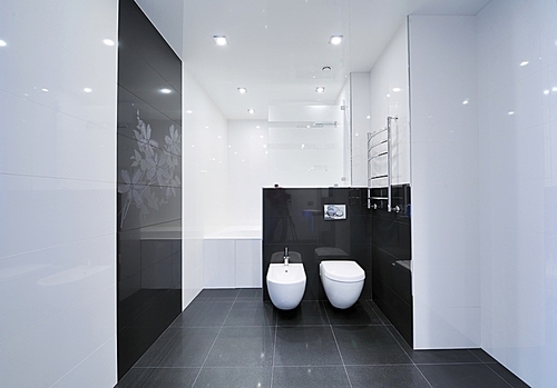 modern luxury bathroom interior. no brandnames or  objects.