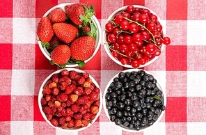 Wild berries in bowls - blueberry|redcurrant|strawberry