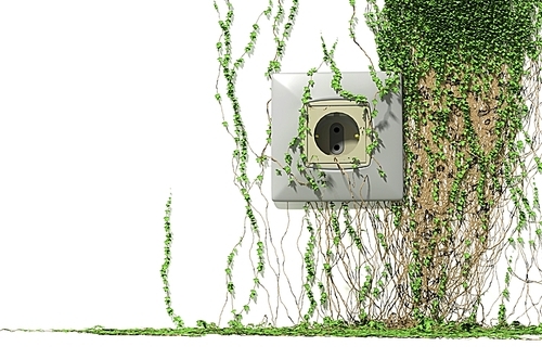 grown electric outlet (3d render)