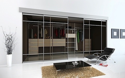 modern  interior with cloakroom (3D rendering)