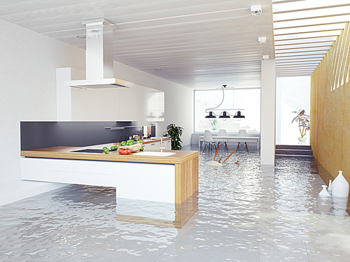 flooding kitchen modern interior (3D concept)