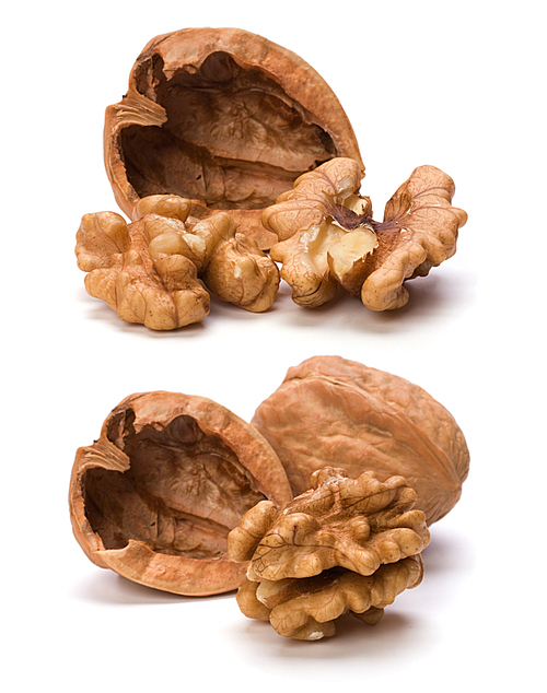 Circassian walnut isolated on white