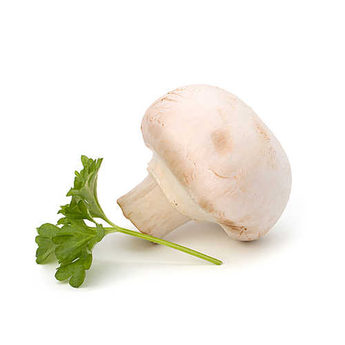 Champignon mushroom and fresh parsley isolated on white