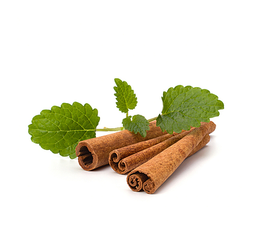 Cinnamon sticks and fresh bergamot mint leaf isolated on white