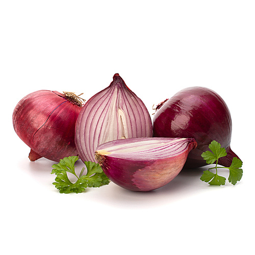 Red sliced onion and fresh parsley still life isolated on white