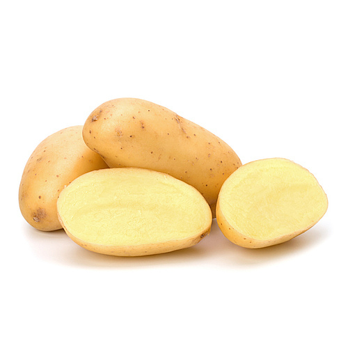 New potato isolated on white close up