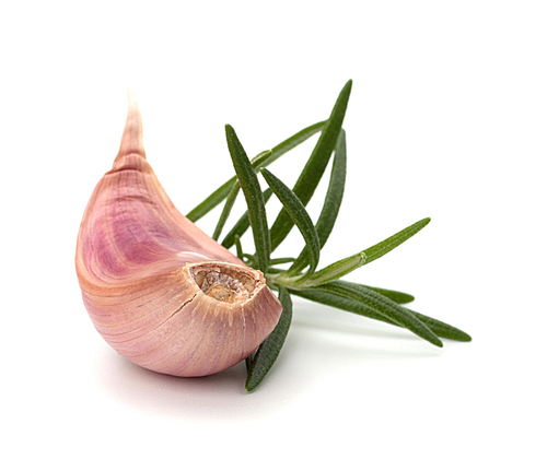 Garlic clove and rosemary leaf  isolated on white