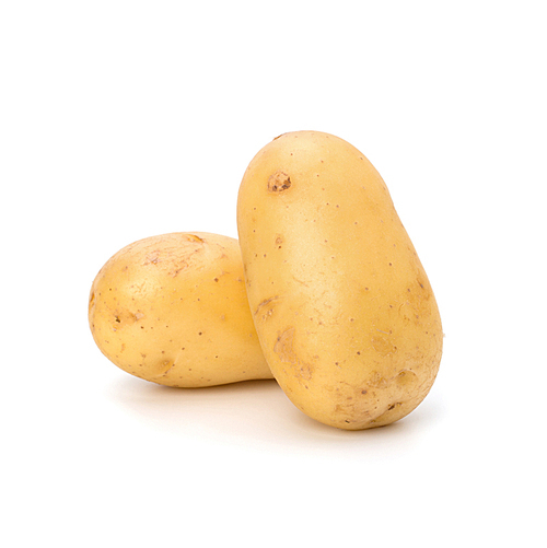 New potato isolated on white close up