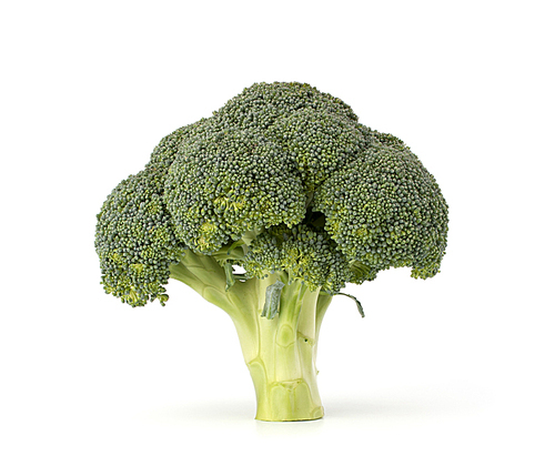 Broccoli vegetable isolated on white