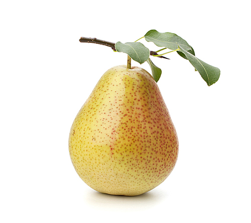 Pear isolated on white