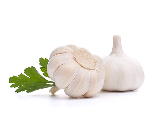 garlic bulb isolated on white cutout