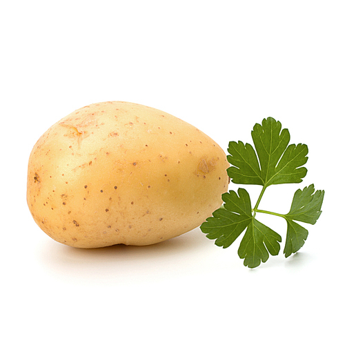 New potato and green parsley isolated on white close up