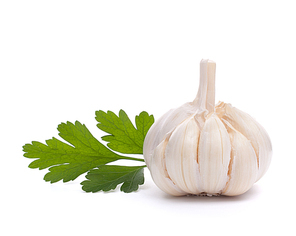 garlic bulb isolated on white cutout