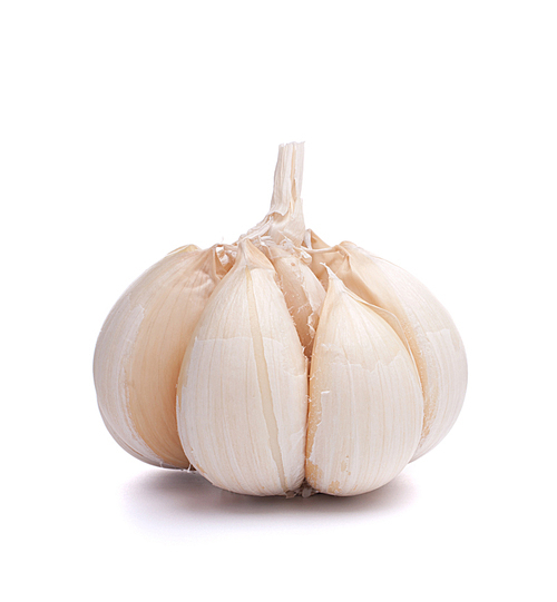 garlic bulb isolated on white cutout