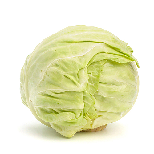 head of cabbage isolated on white cutout