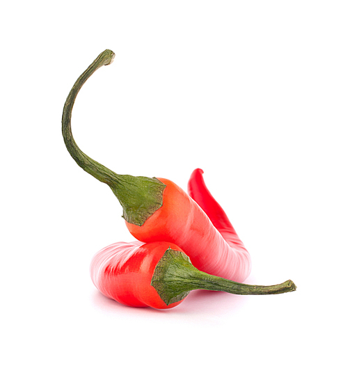 Hot red chili or chilli  pepper isolated on white cutout