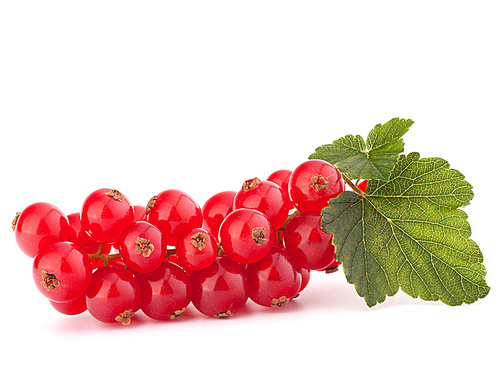 Red currants and green leaves still life isolated on white cutout