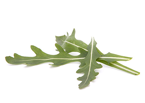 Sweet rucola salad or rocket lettuce leaves isolated on white