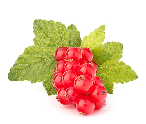 Red currants and green leaves still life isolated on white cutout