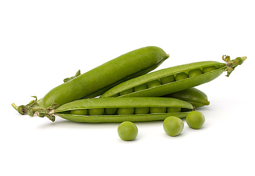 Fresh green pea pod  isolated on white