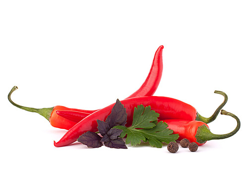 Hot red chili or chilli pepper and aromatic herbs leaves still life isolated on white cutout