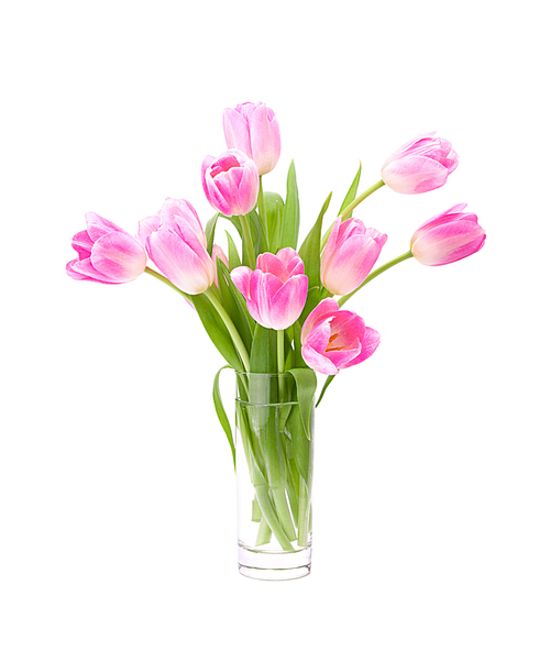 Pink tulips bouquet in vase isolated on white