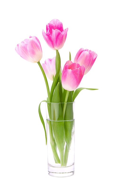 Pink tulips bouquet in vase isolated on white