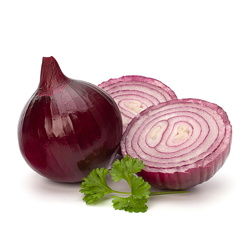 Red sliced onion and fresh parsley still life isolated on white