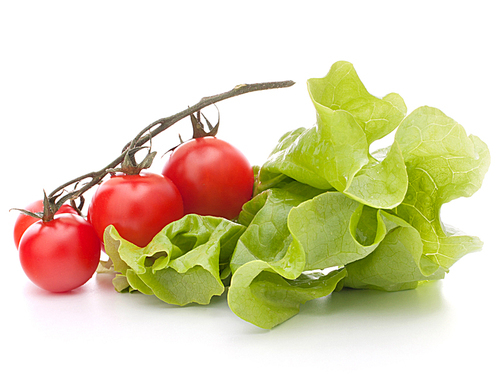 Fresh lettuce salad leaves bunch and cherry tomato isolated on white cutout