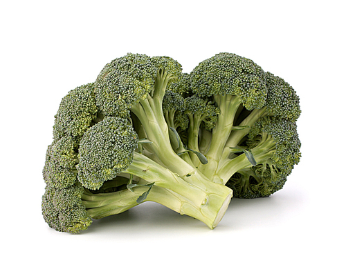 Broccoli vegetable isolated on white