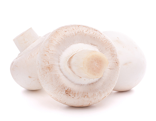 Champignon mushroom isolated on white