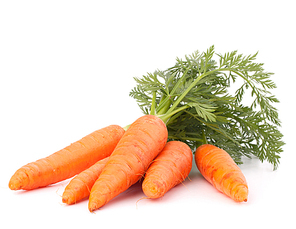 Carrot vegetable with leaves isolated on white cutout