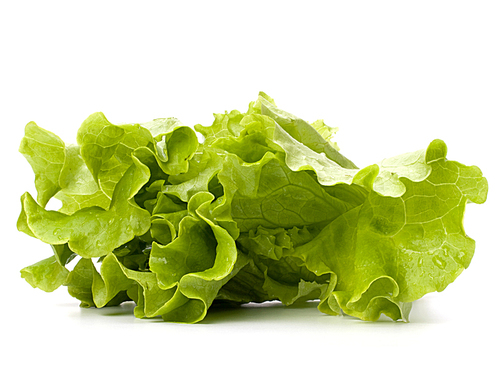Lettuce salad isolated on white