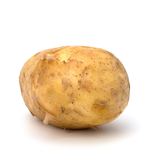 potato isolated on white close up