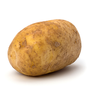 potato isolated on white close up