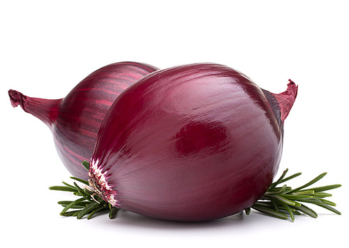 red onion and rosemary leaves still life  isolated on white cutout