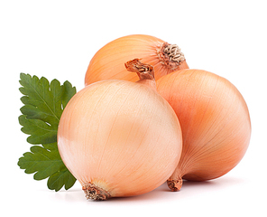 Onion vegetable bulb and parsley leaves still life isolated on white cutout