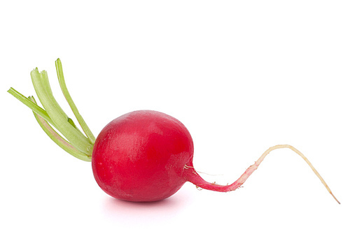 Small garden radish isolated on white cutout